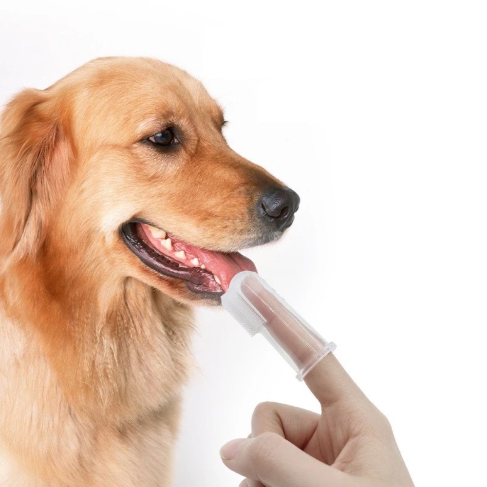 Super Soft Pet Finger Toothbru - đánh giá và giá Tools & Workshop Equipment For Sale In Hampshire Page 3 50 Gumtree