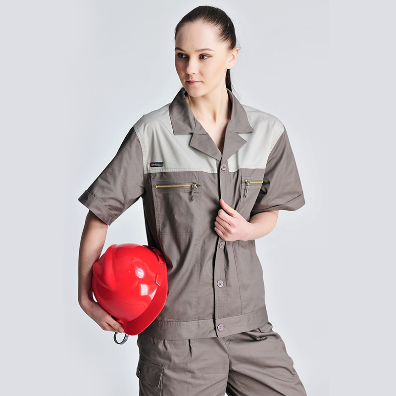 Work Clothing Set Men Dust Pro - đánh giá và giá Workshop Tools Safety
